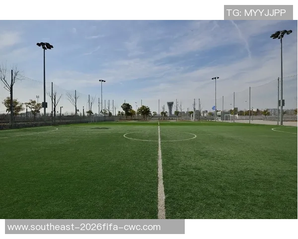 足球场25码的神秘意义与战术运用探讨