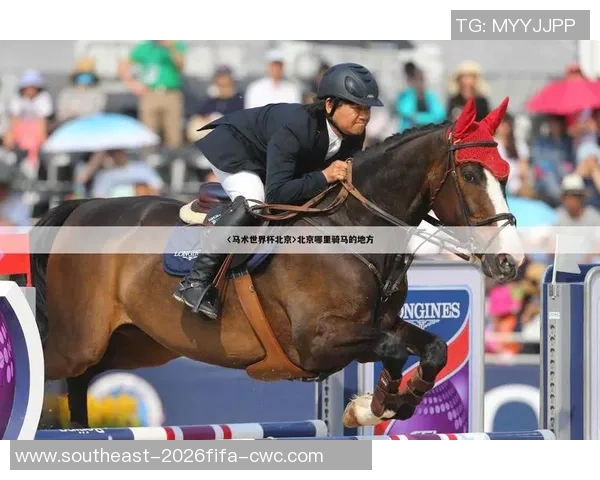 香港赛马会足球：探索赛马与足球的完美结合与未来发展潜力